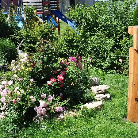 Cafe Landart Im Thueringer Finistere 公寓 Plaue (Thuringia)