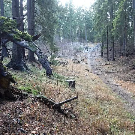 Cafe Landart Im Thueringer Finistere Apartment Plaue (Thuringia)
