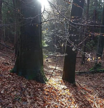 Apartment Cafe Landart Im Thueringer Finistere *