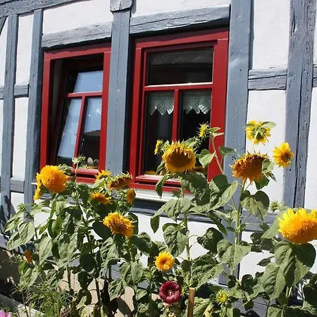 公寓 Cafe Landart Im Thueringer Finistere