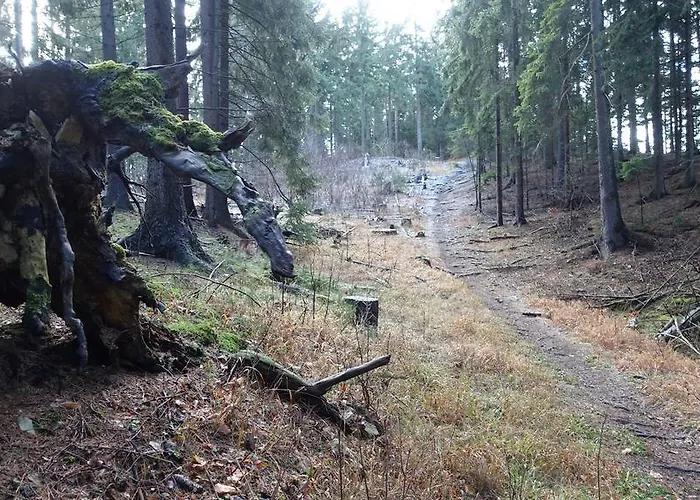 Cafe Landart Im Thueringer Finistere Διαμέρισμα Plaue (Thuringia)