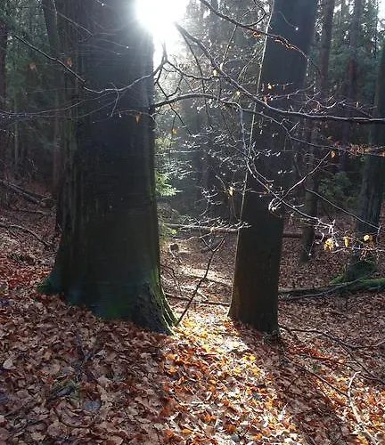 Διαμέρισμα Cafe Landart Im Thueringer Finistere *