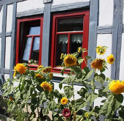 Lägenhet Cafe Landart Im Thueringer Finistere