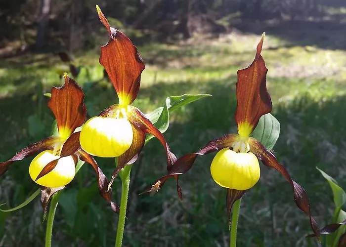 Cafe Landart Im Thueringer Finistere Lägenhet