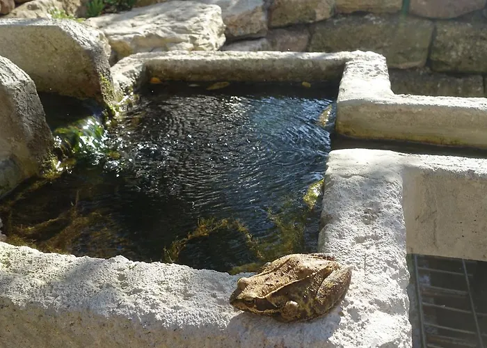 Cafe Landart Im Thueringer Finistere * Plaue (Thuringia)